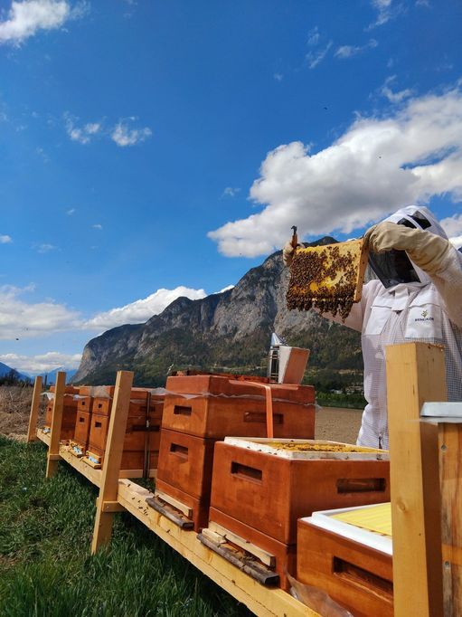beekeeper portrait